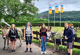 Familie auf Eselwanderung bei der Jugendherberge Dahn