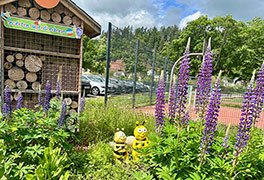 Insekten-Jugendherberge mit Blumen und Bienen