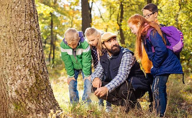 Eine Schülergruppe lernen im Wald vom Lehrer